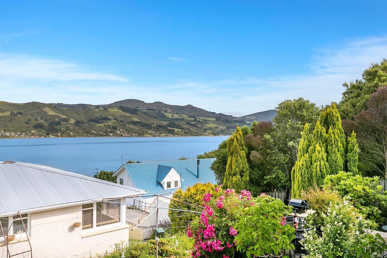 Macbay Retreat - Macandrew Bay Holiday Home Company Bay Esterno foto